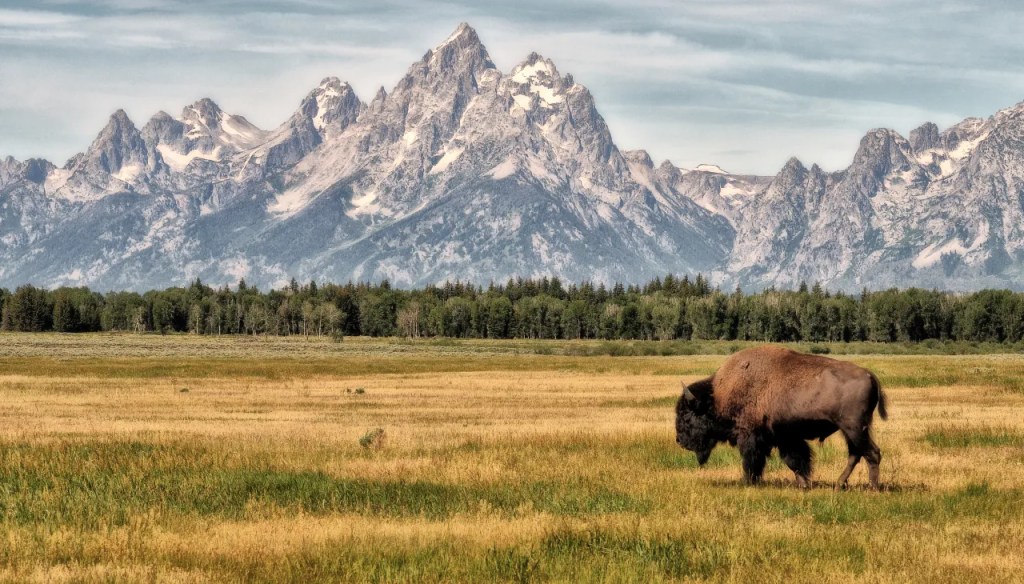 6 Must-Visit Cowboy Core Towns That Feel Like the Wild West—Without Breaking the&nbsp;Bank